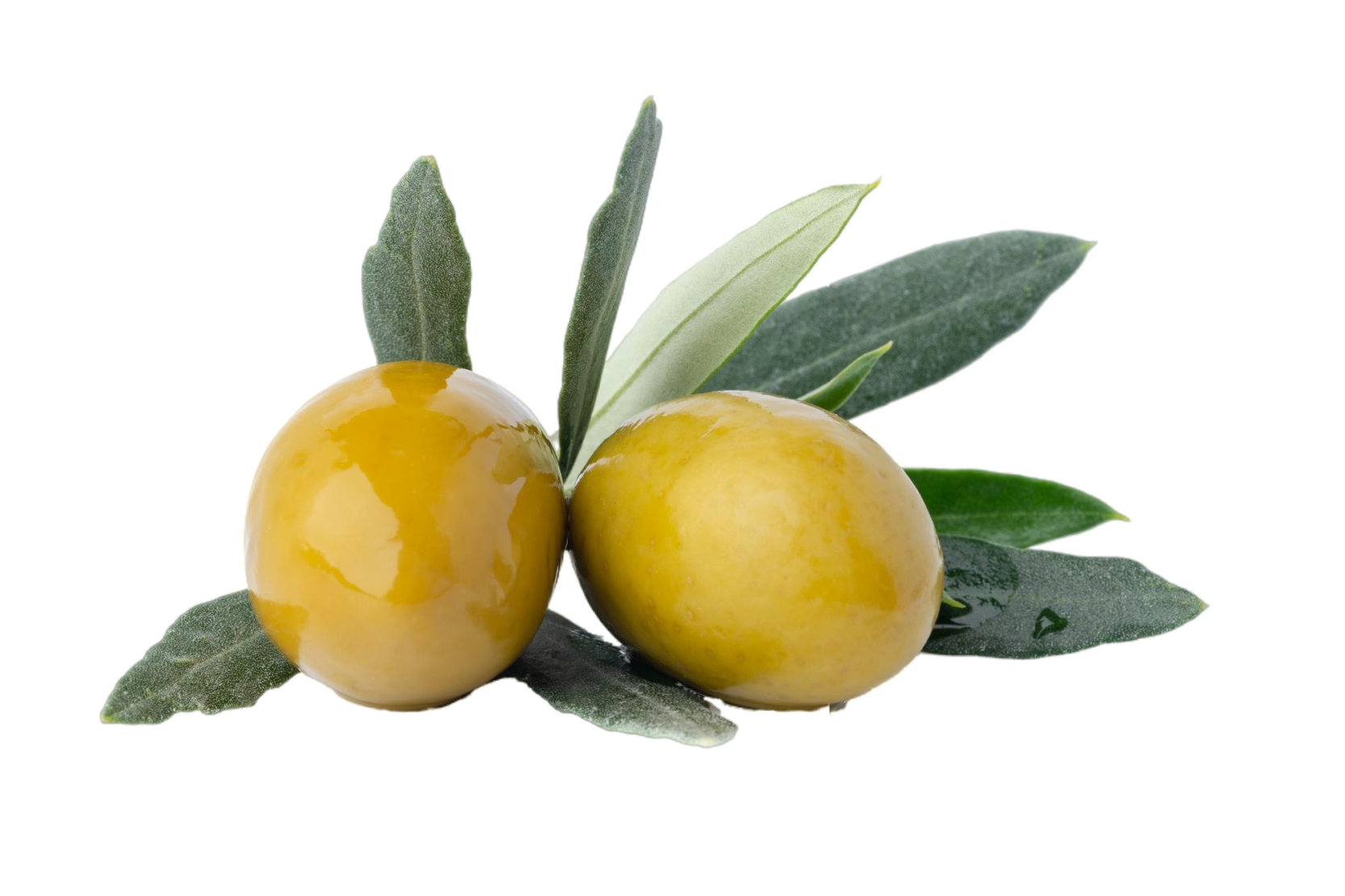 aceitunas